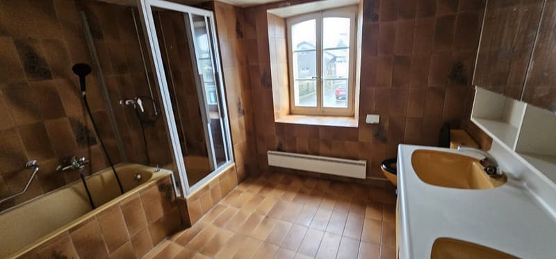 bathtub, shower, radiator, double sink, toilet