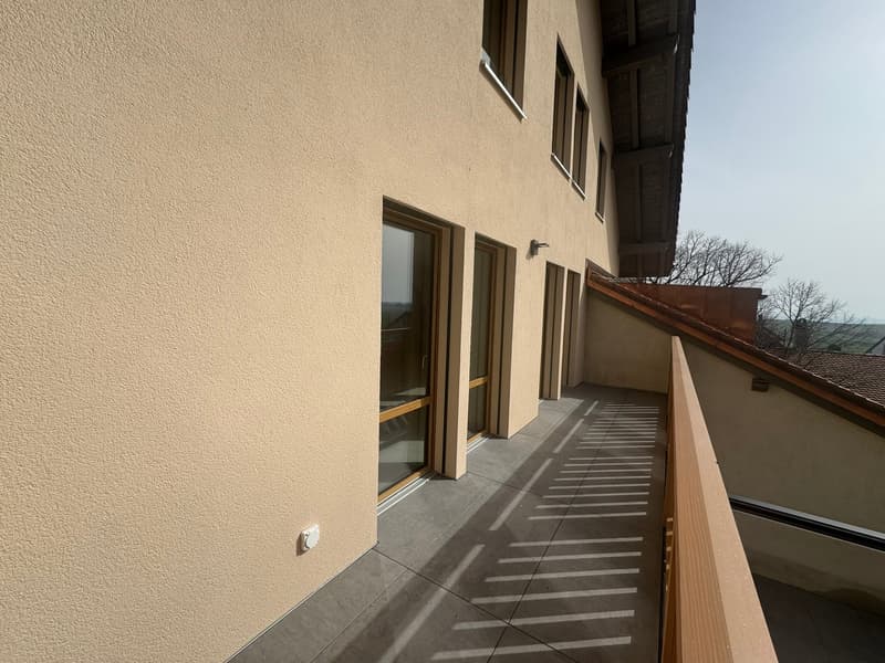Magnifico appartamento di 4,5 locali con balcone al secondo piano (4)