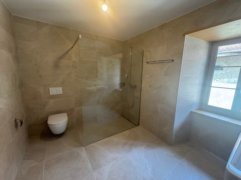 Magnifico appartamento di 4,5 locali con balcone al secondo piano (13)