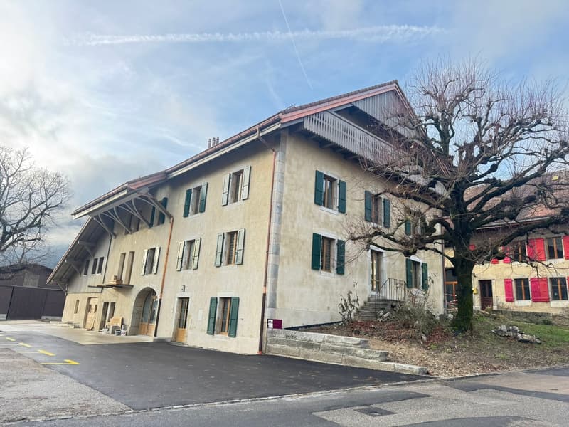 Magnifico appartamento di 4,5 locali con balcone al secondo piano (15)