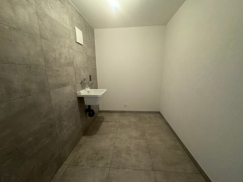 Magnifico appartamento di 4,5 locali con balcone al secondo piano (14)