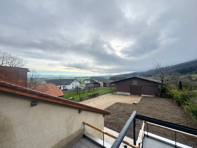 Magnifico appartamento di 4,5 locali con balcone al secondo piano (5)