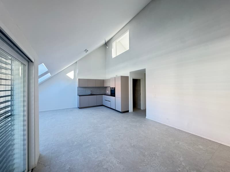 Due meravigliosi appartamenti nuovi di 3 locali in duplex con balcone (2)