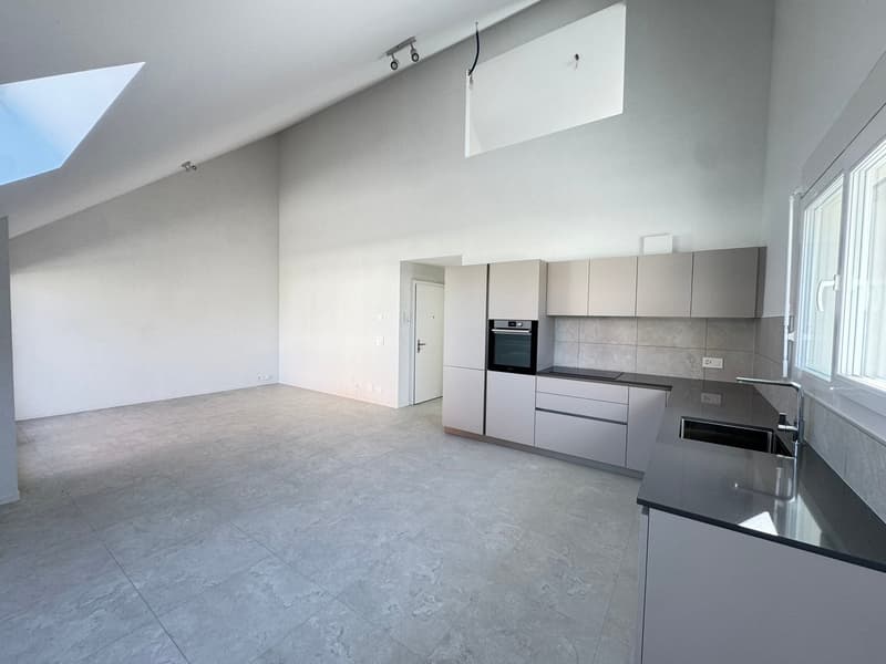 Due meravigliosi appartamenti nuovi di 3 locali in duplex con balcone (3)