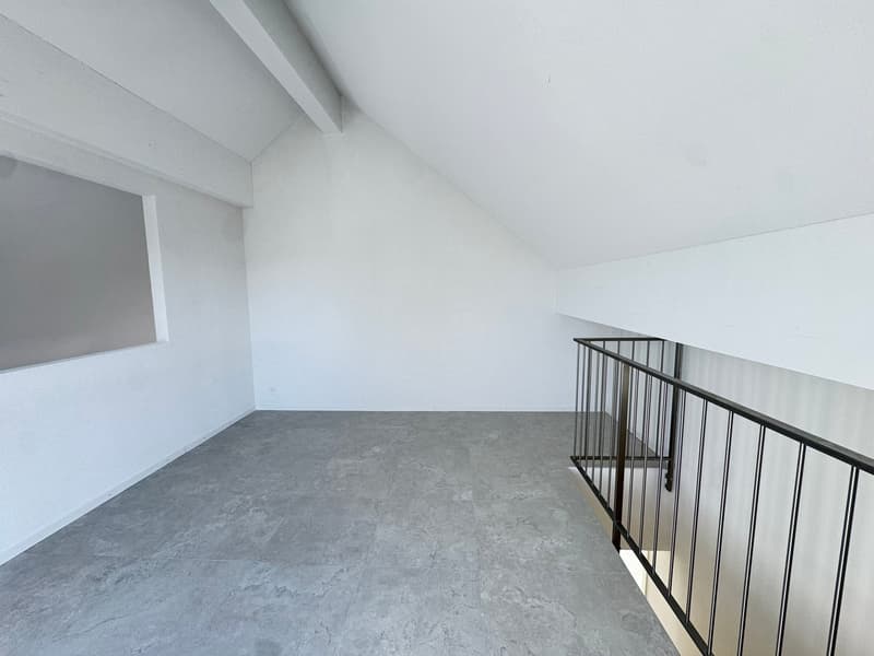 Due meravigliosi appartamenti nuovi di 3 locali in duplex con balcone (12)
