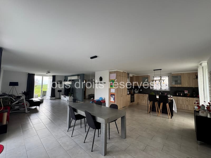 Beautiful individual villa with 5.5 rooms in Bofflens (5)