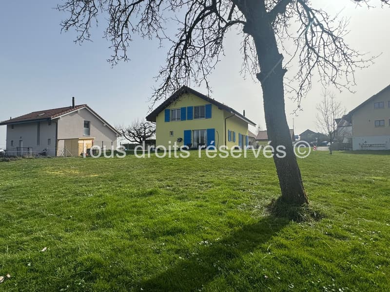 Beautiful individual villa with 5.5 rooms in Bofflens (4)