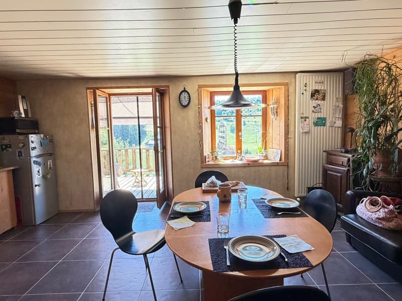 La cuisine avec sortie sur la terrasse
