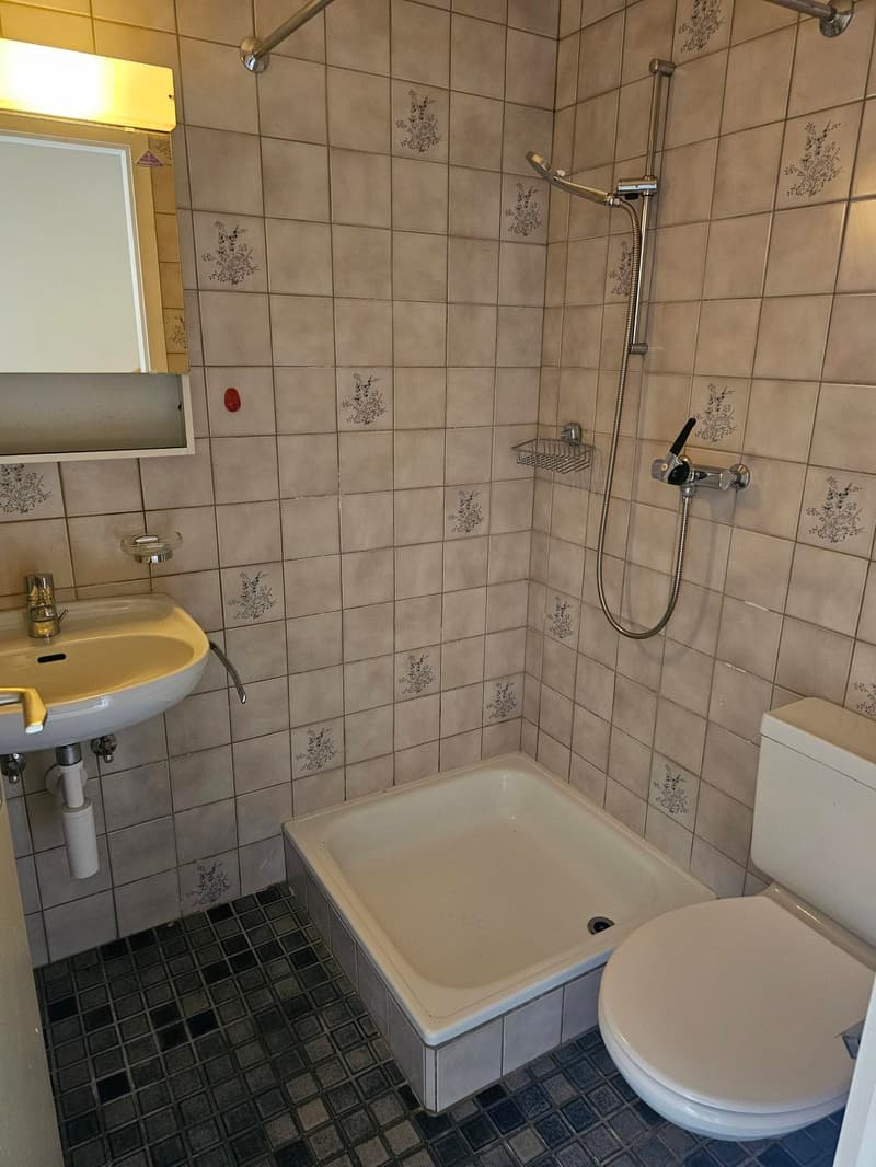 Prächtige Doppelhaushälfte in Wohngebiet (10)