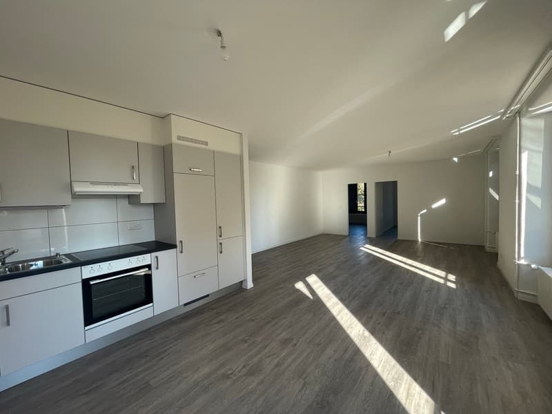Charmant appartement de 3 pièces idéalement situé (1)