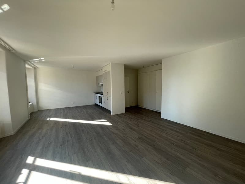 Charmant appartement de 3 pièces idéalement situé (3)