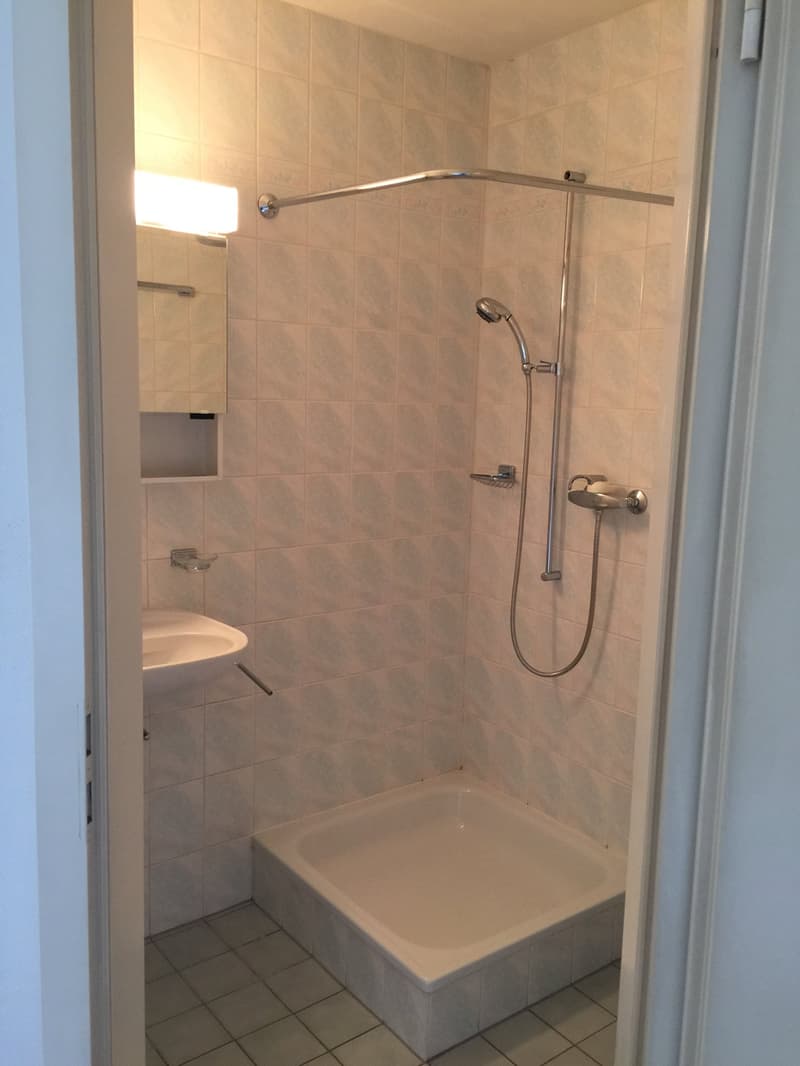 Joli studio de 33 m2 avec balcon (6)