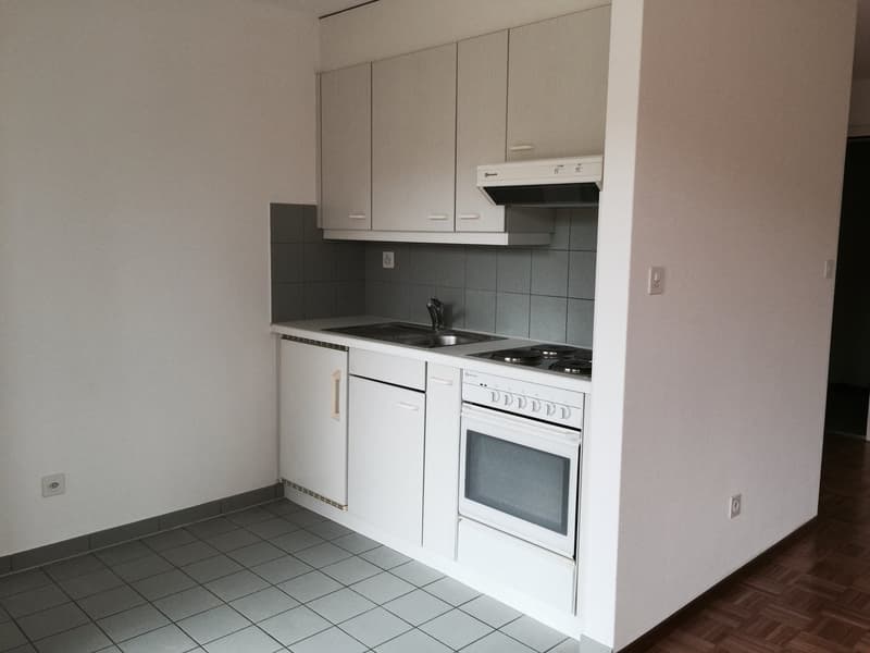 Joli studio de 33 m2 avec balcon (5)