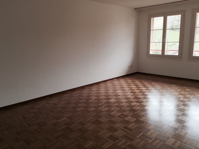 Joli studio de 33 m2 avec balcon (4)
