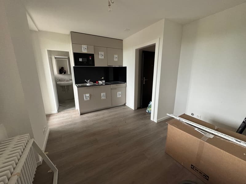 Superbe studio meublé refait à neuf en 2025 (1)