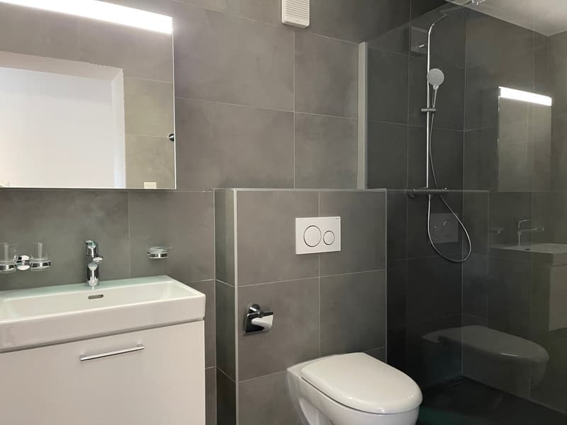 Grand appartement de 7 pièces à Giez (10)