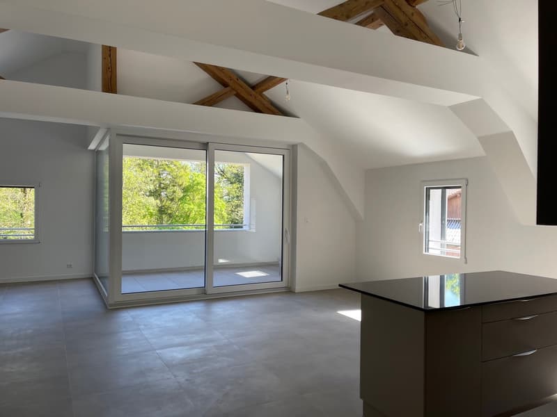 Grand appartement de 7 pièces à Giez (4)