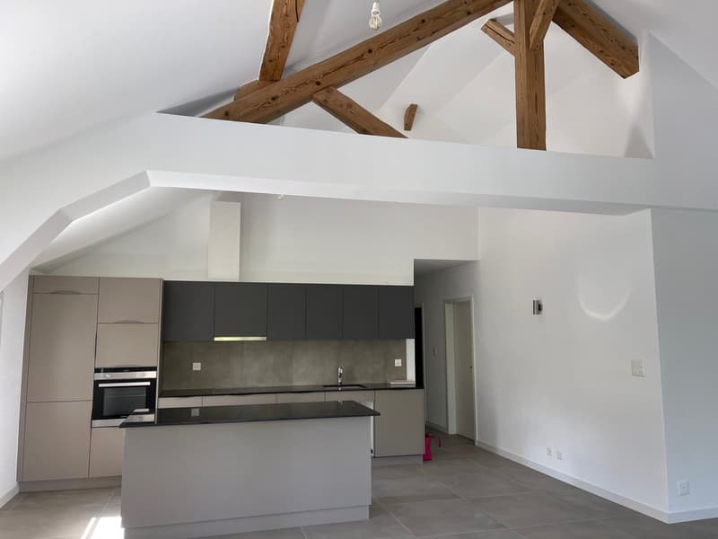 Grand appartement de 7 pièces à Giez (3)