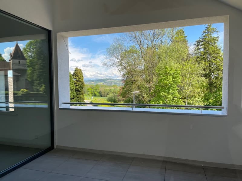 Grand appartement de 7 pièces à Giez (6)