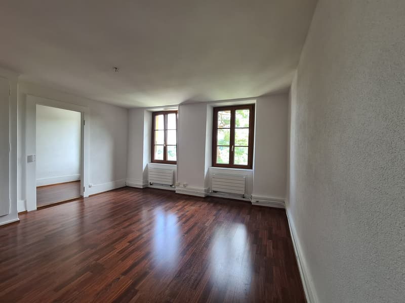 Charmant appartement de 5 pièces à Ferreyres avec grand jardin (2)