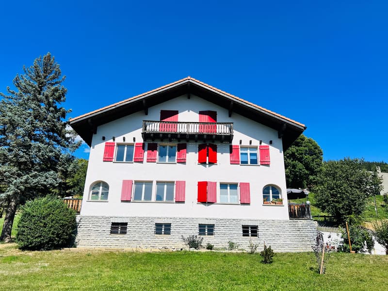 Offerta unica! Casa spaziosa da ristrutturare - 2 appartamenti di 6.5 locali (13)