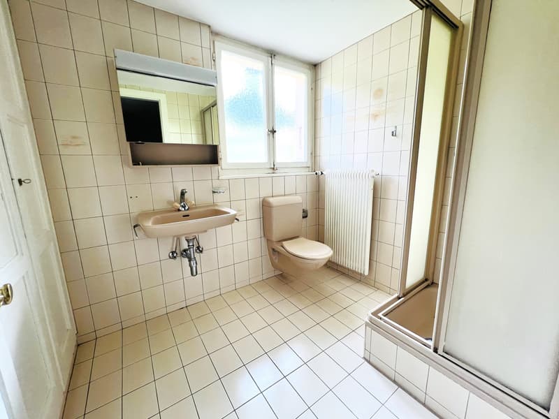 Offerta unica! Casa spaziosa da ristrutturare - 2 appartamenti di 6.5 locali (16)