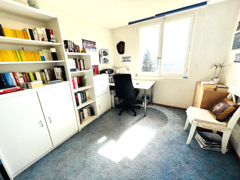 Offerta unica! Casa spaziosa da ristrutturare - 2 appartamenti di 6.5 locali (4)