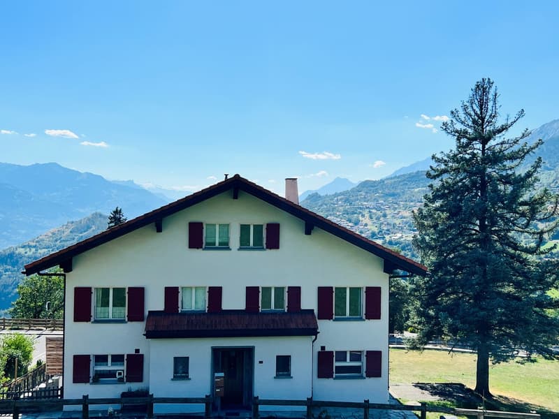 Offerta unica! Casa spaziosa da ristrutturare - 2 appartamenti di 6.5 locali (14)