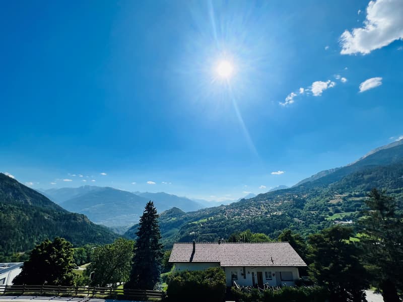 Offerta unica! Casa spaziosa da ristrutturare - 2 appartamenti di 6.5 locali (12)