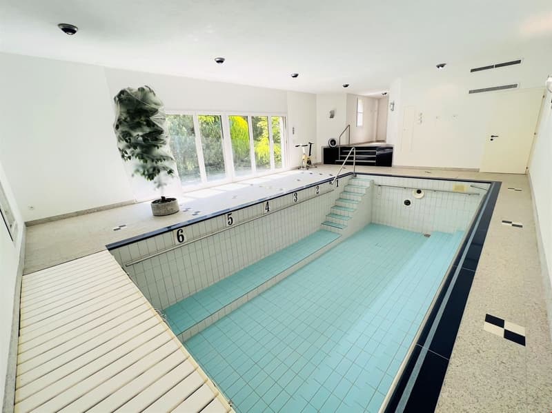 Large indoor swimming pool with tiled walls and floor, wooden deck, and large windows overlooking the outdoor greenery.
