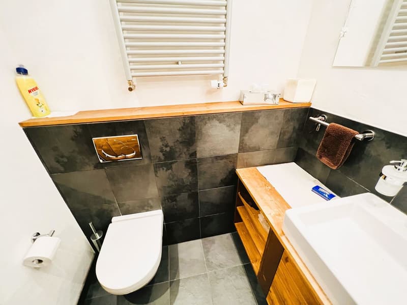 Bathroom with dark tile walls, wooden vanity, toilet, and towel rack