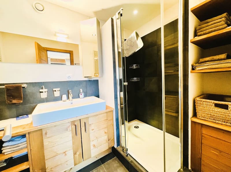 Wooden vanity with sink, shelves for towels, shower stall with glass door, washing machine and dishwasher