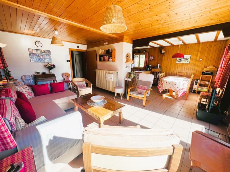 L-shaped sofa, wooden coffee table, red and white pillows, floor lamps, wooden chairs, radiator, table with chairs, clock, flower vase, TV, wooden shelves