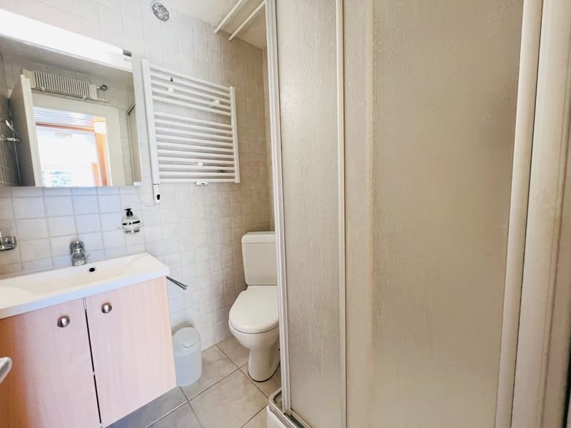 modern bathroom with white tiled walls, sink with cabinet, mirror, shower, toilet, white fixtures