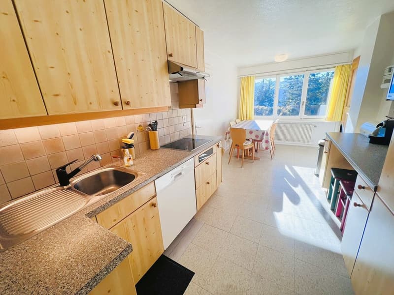 Wooden kitchen cabinets, granite countertop, sink, dishwasher, gas stove, wooden dining table, radiator, TV