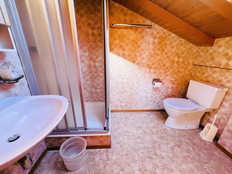 sink, shower, toilet, floor heating