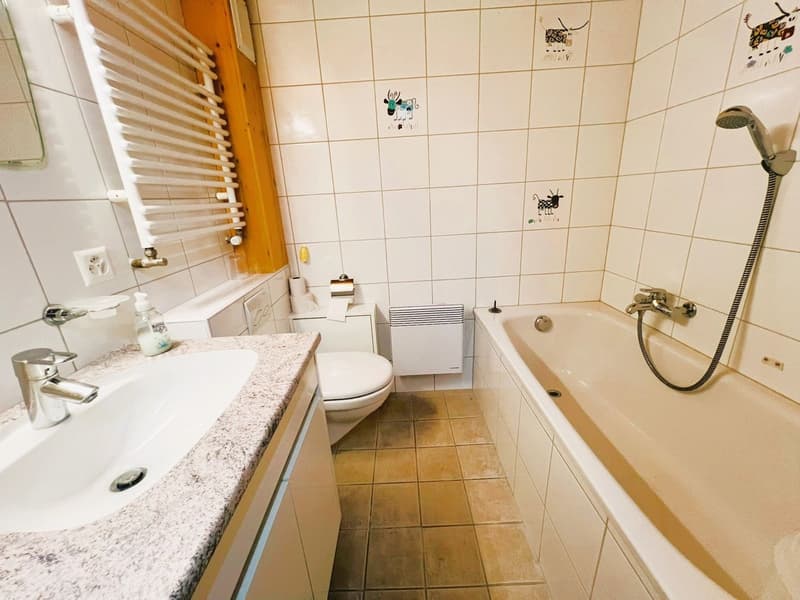 Bathtub, shower, sink, toilet, radiator, tiled walls, tiled floor