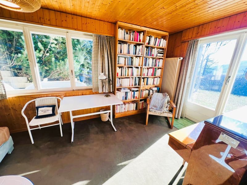 wooden walls, bookshelves, desk, chairs, lamp, windows, radiator