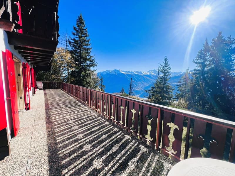 Red wooden railing, red wooden doors, gravel floor, outdoor table, pine trees, mountain view