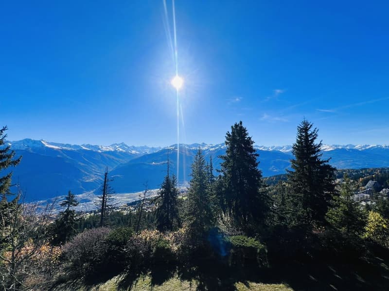 mountain range, trees, clear blue sky, mountains in the distance