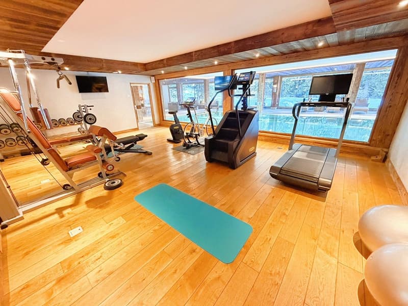 Home gym, treadmill, weight bench, exercise bike, wooden floor, wooden beams, large windows, two exercise balls, yoga mat
