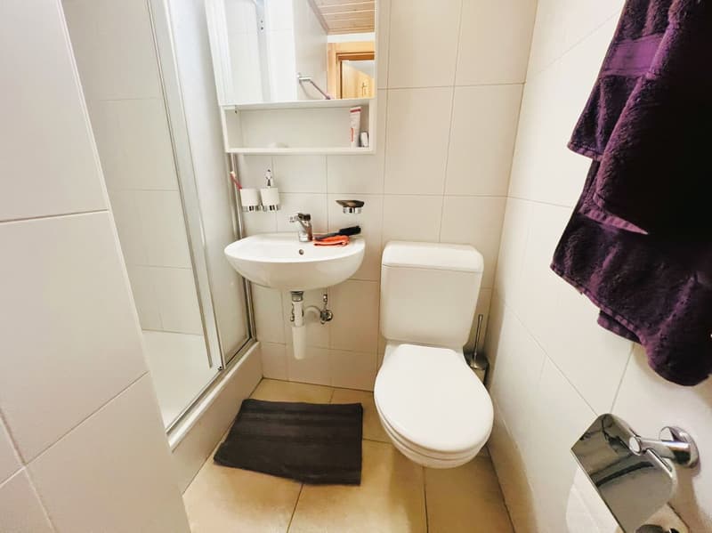 small bathroom with shower, toilet, sink, mirror, towel rack, and a small rug