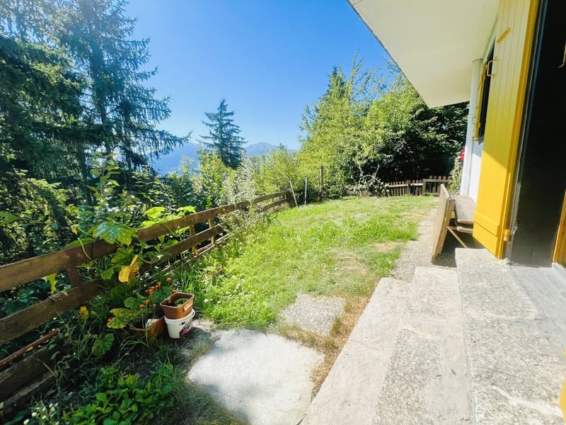 A garden with a wooden fence, a grassy lawn, a wooden bench, and a yellow door.