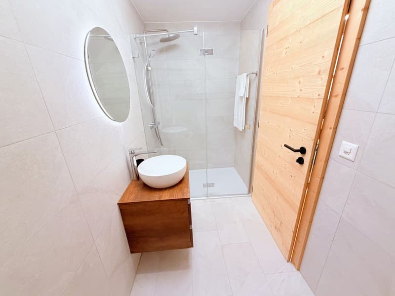 Magnificent 4.5 rooms new, spacious & bright - Small residence - Quiet location - Well located - Beautiful view (13)