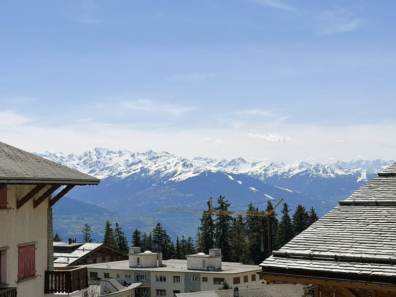 Magnificent 4.5 rooms new, spacious & bright - Small residence - Quiet location - Well located - Beautiful view (16)