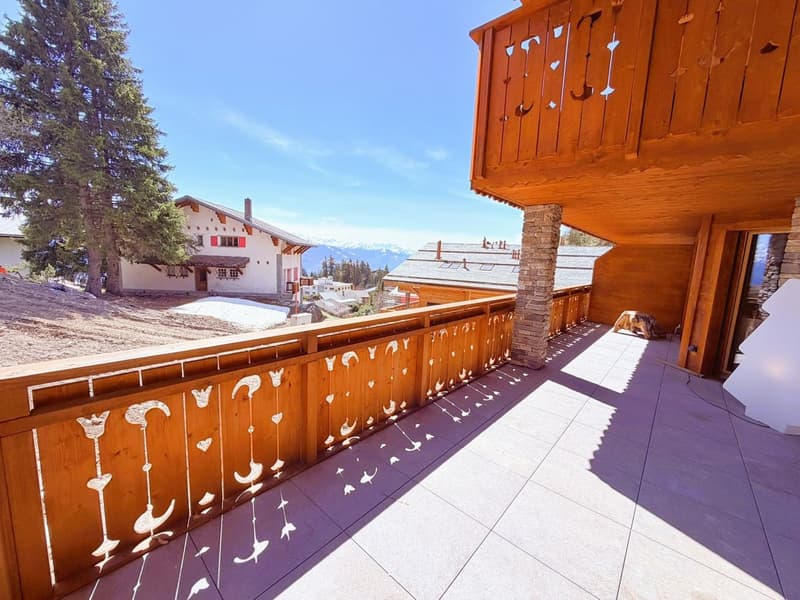 Magnificent 4.5 rooms new, spacious & bright - Small residence - Quiet location - Well located - Beautiful view (15)