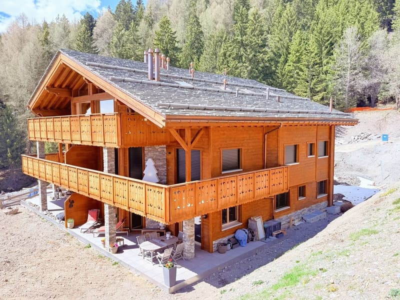 Magnificent 4.5 rooms new, spacious & bright - Small residence - Quiet location - Well located - Beautiful view (17)