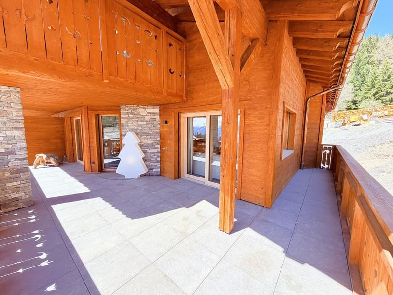 Magnificent 4.5 rooms new, spacious & bright - Small residence - Quiet location - Well located - Beautiful view (14)