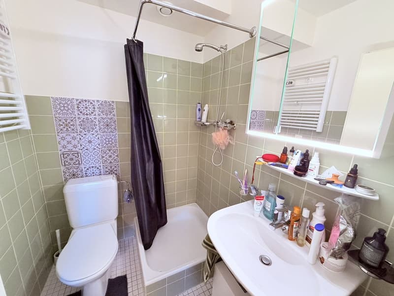 Cozy renovated studio (kitchen, shower, floor ...) - Spacious - Ideally located - Quiet location (10)
