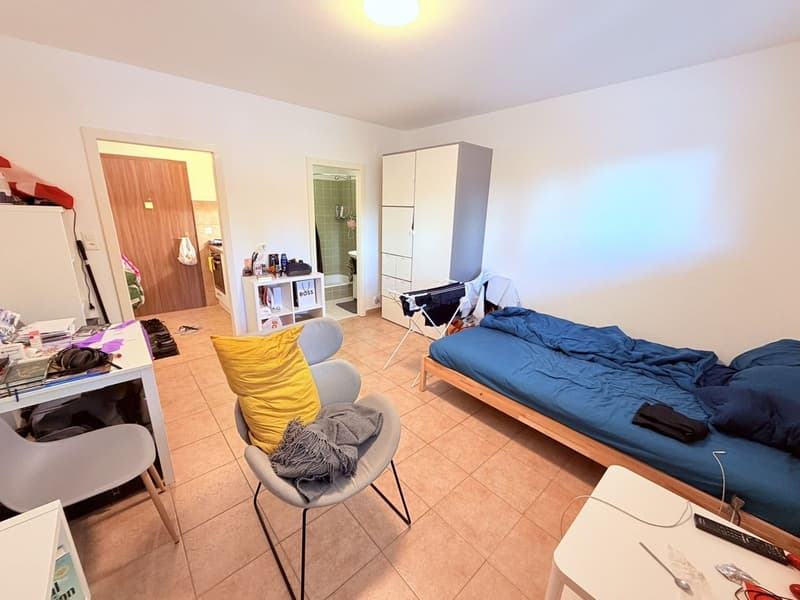 Cozy renovated studio (kitchen, shower, floor ...) - Spacious - Ideally located - Quiet location (5)
